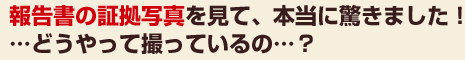 報告書の証拠写真を見て、本当に驚きました！…どうやって撮っているの…？